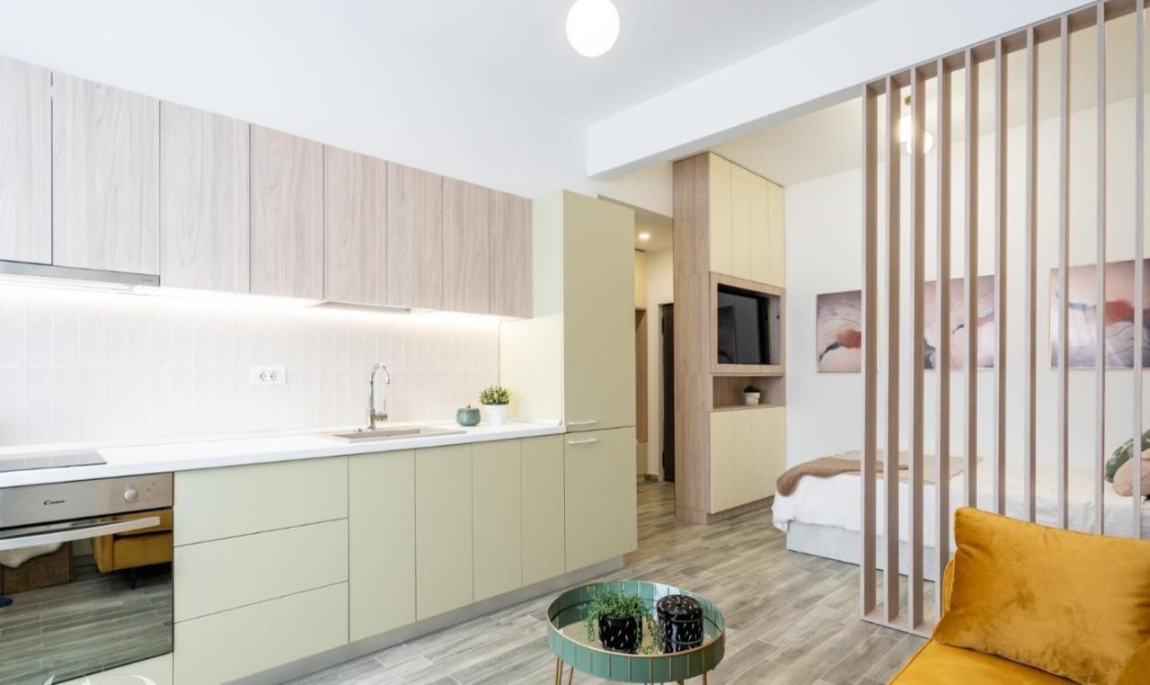 Apartament Executive Suites In Center Bucureşti